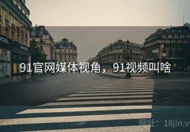 91官网媒体视角，91视频叫啥