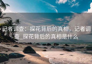 记者调查：探花背后的真相，记者调查_探花背后的真相是什么