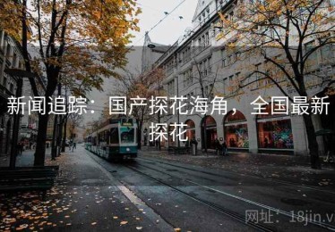 新闻追踪：国产探花海角，全国最新探花