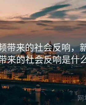 新91视频带来的社会反响，新91视频带来的社会反响是什么