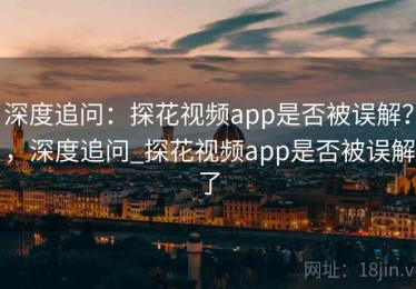 深度追问：探花视频app是否被误解？，深度追问_探花视频app是否被误解了