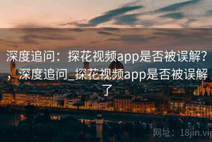 深度追问：探花视频app是否被误解？，深度追问_探花视频app是否被误解了