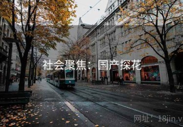 社会聚焦：国产探花