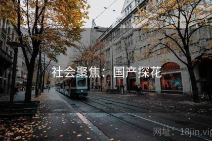 社会聚焦：国产探花