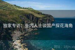 独家专访：业内人士谈国产探花海角