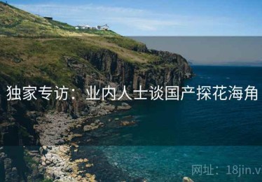 独家专访：业内人士谈国产探花海角