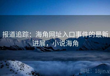 报道追踪：海角网址入口事件的最新进展，小说海角