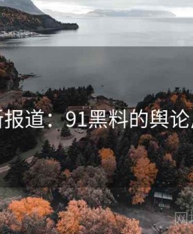 最新报道：91黑料的舆论反馈