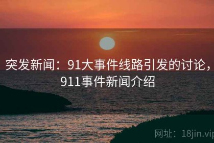突发新闻：91大事件线路引发的讨论，911事件新闻介绍