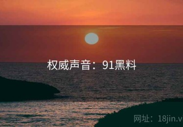 权威声音：91黑料