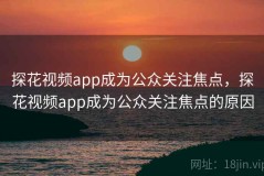 探花视频app成为公众关注焦点，探花视频app成为公众关注焦点的原因