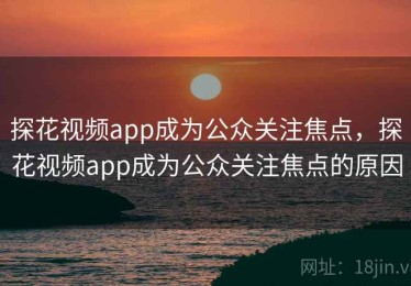 探花视频app成为公众关注焦点，探花视频app成为公众关注焦点的原因
