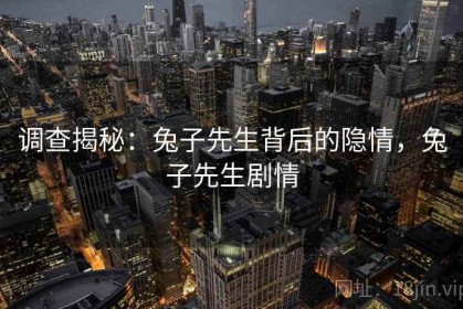 调查揭秘：兔子先生背后的隐情，兔子先生剧情