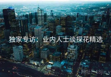 独家专访：业内人士谈探花精选