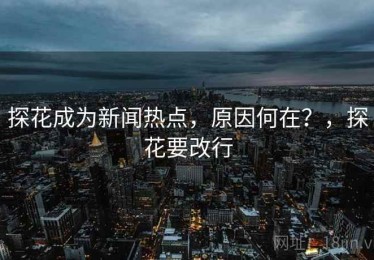 探花成为新闻热点，原因何在？，探花要改行