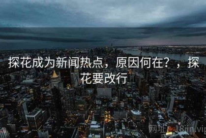 探花成为新闻热点，原因何在？，探花要改行