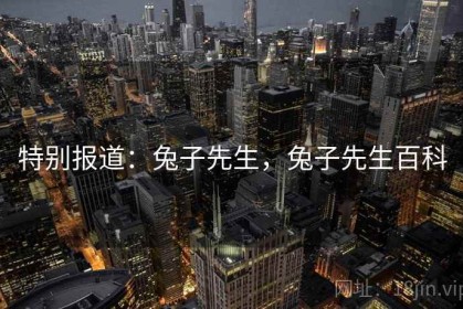特别报道：兔子先生，兔子先生百科