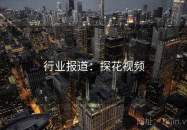 行业报道：探花视频