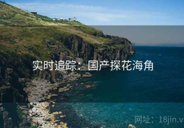 实时追踪：国产探花海角
