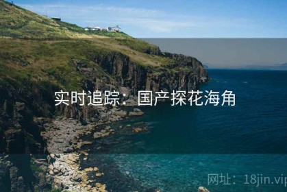 实时追踪：国产探花海角