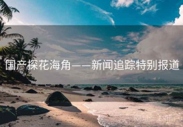 国产探花海角——新闻追踪特别报道