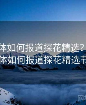 各大媒体如何报道探花精选？，各大媒体如何报道探花精选节目