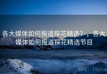 各大媒体如何报道探花精选？，各大媒体如何报道探花精选节目