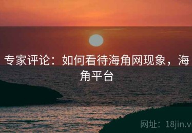 专家评论：如何看待海角网现象，海角平台