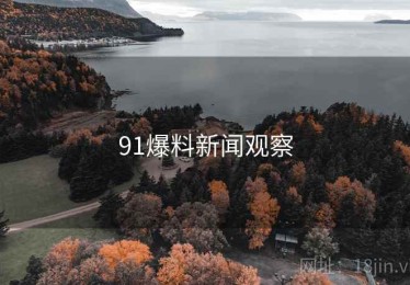 91爆料新闻观察