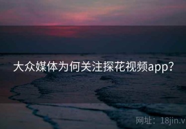 大众媒体为何关注探花视频app？