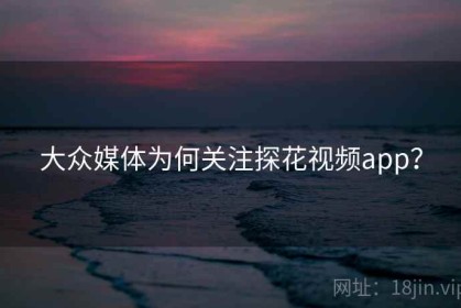 大众媒体为何关注探花视频app？