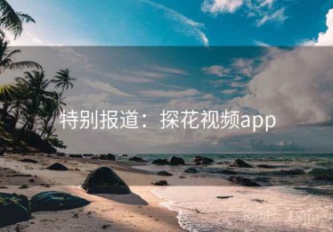 特别报道：探花视频app