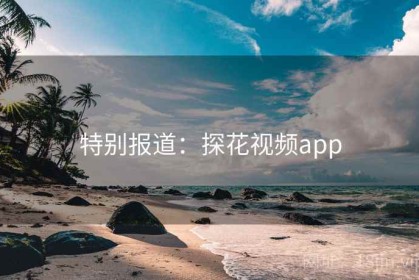 特别报道：探花视频app