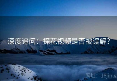 深度追问：探花视频是否被误解？