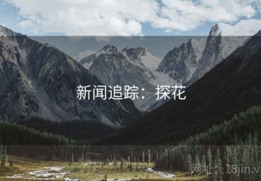 新闻追踪：探花