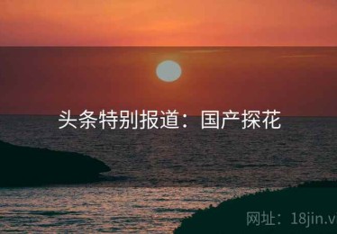 头条特别报道：国产探花
