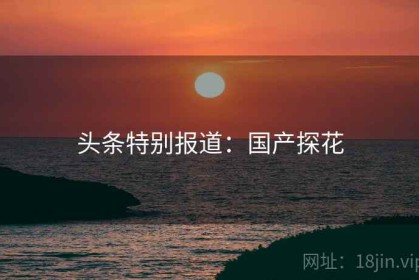 头条特别报道：国产探花