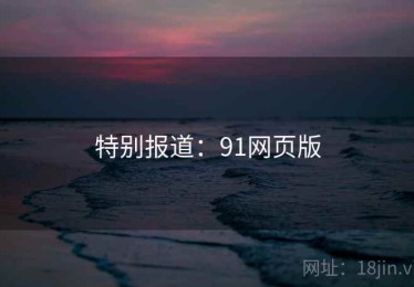 特别报道：91网页版