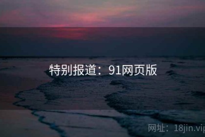 特别报道：91网页版