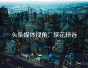 头条媒体视角：探花精选