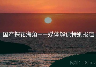 国产探花海角——媒体解读特别报道
