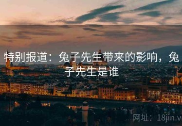 特别报道：兔子先生带来的影响，兔子先生是谁