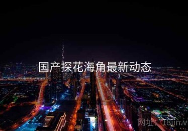 国产探花海角最新动态