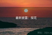 最新披露：探花