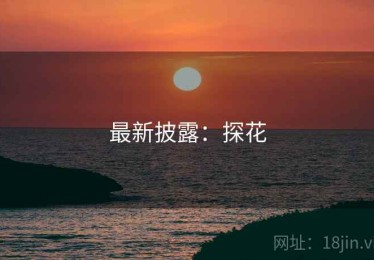 最新披露：探花