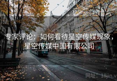 专家评论：如何看待星空传媒现象，星空传媒中国有限公司