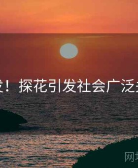 突发！探花引发社会广泛关注