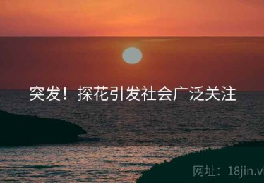 突发！探花引发社会广泛关注