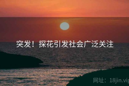 突发！探花引发社会广泛关注