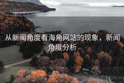 从新闻角度看海角网站的现象，新闻角度分析